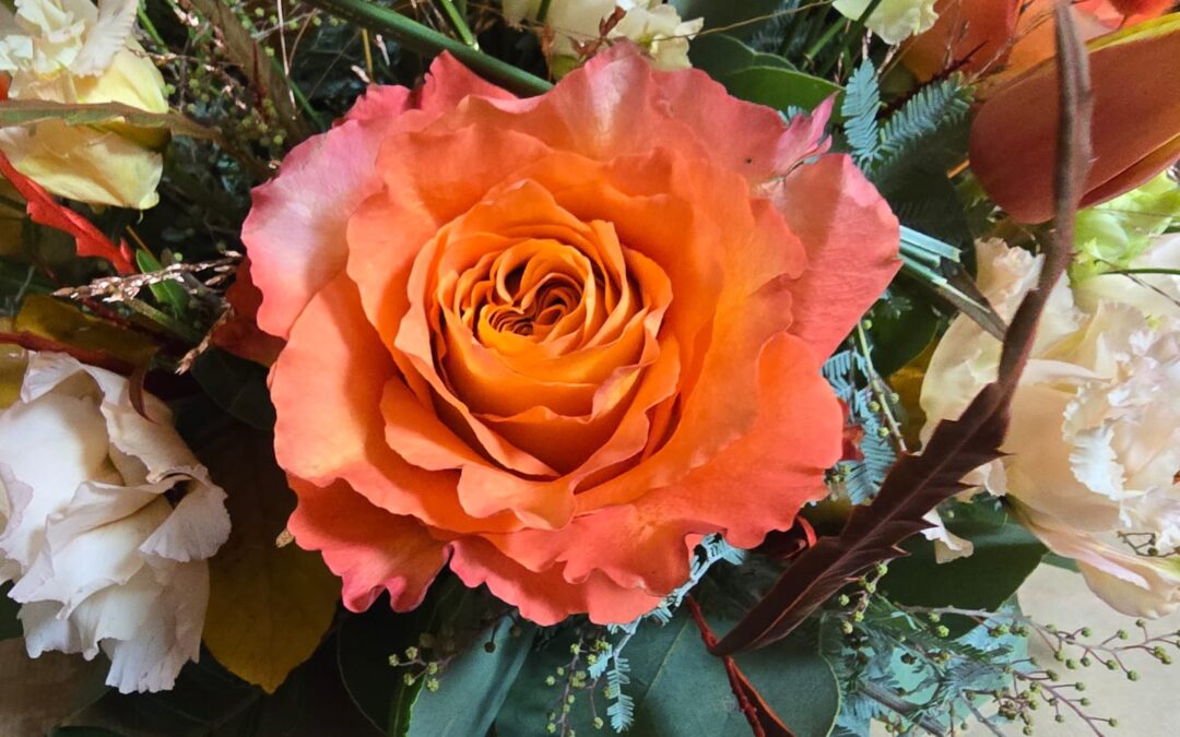 Participation au GALA Prosper Montagné