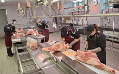 ZOOM sur la Boucherie