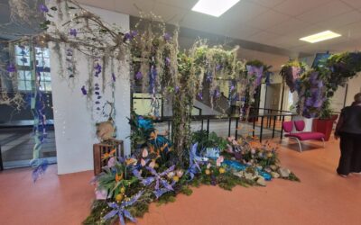 Retour sur les Portes Ouvertes 2026